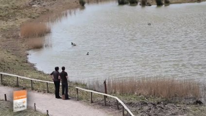 Au Parc du Marquenterre pour le Festival de l'Oiseau et de la Nature