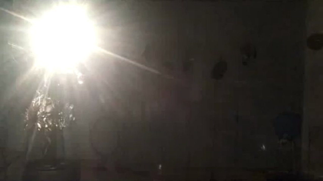 Installation sonore interactive : Electrik Botanik Ensemble (partie 1)