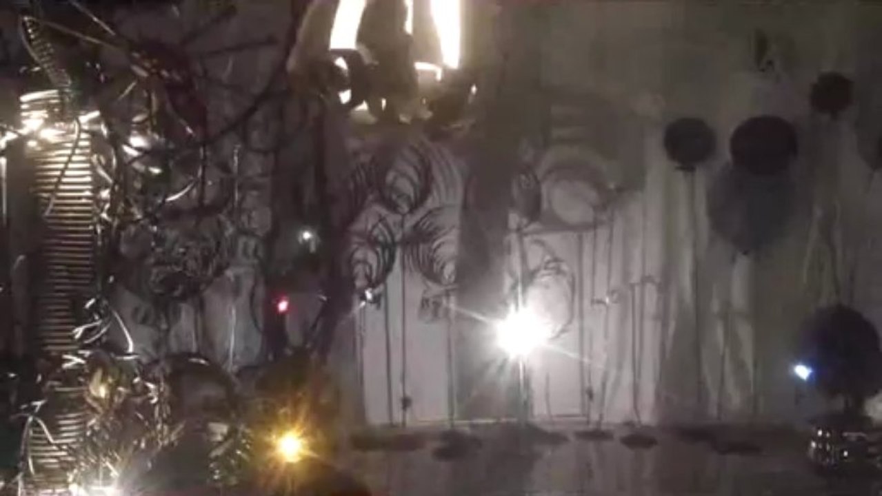 Installation sonore interactive : Electrik Botanik Ensemble (partie 2)