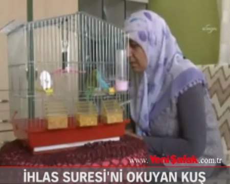 İhlas Suresi'ni okuyan kuş