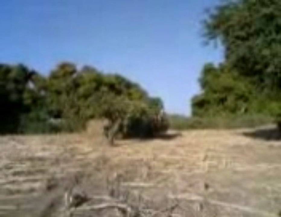 LES FORCES DE L'UFDD/TCHAD