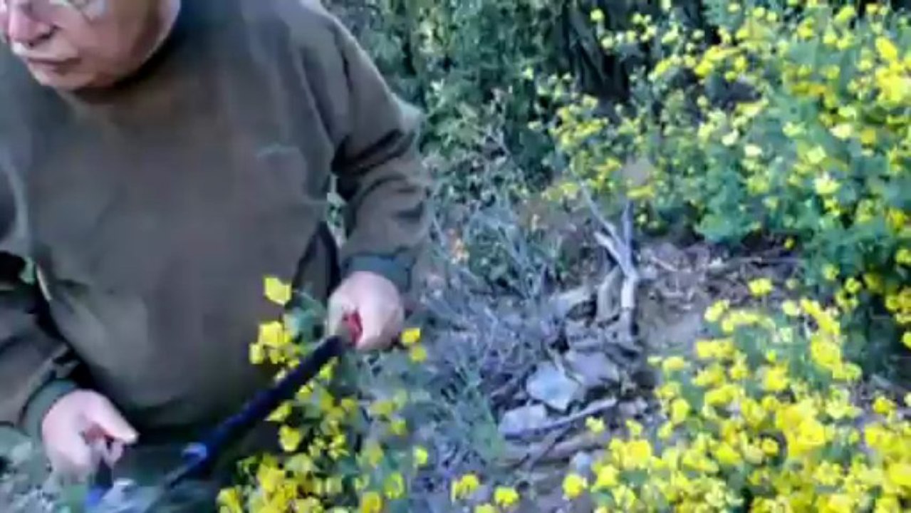 Diane babeaux nettoyage des postes