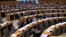 Elections 2014 - Propositions de Sandrine Bélier en Commission des Affaires Constitutionnelles