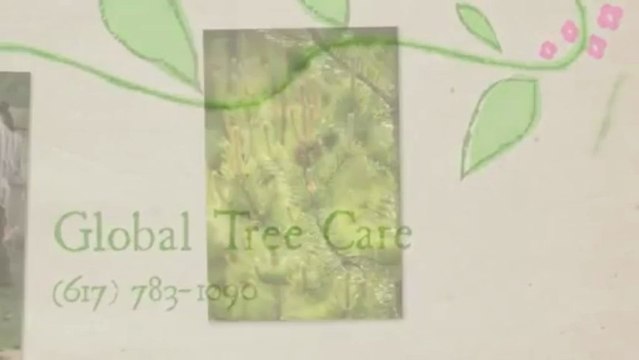 Global Tree Care (617) 783-1090