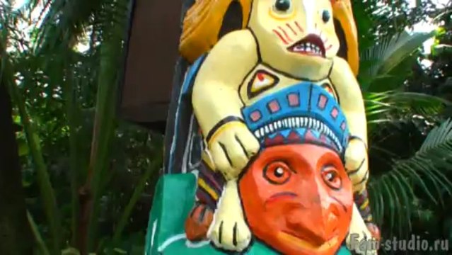 Бангкок. Сафари - парк: кормление жирафов, танцы слонят (клип)