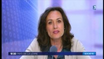 Vote du mariage pour tous : Interview de Sylviane Bulteau - France 3 Pays de la Loire 19/20 du 23-04-13