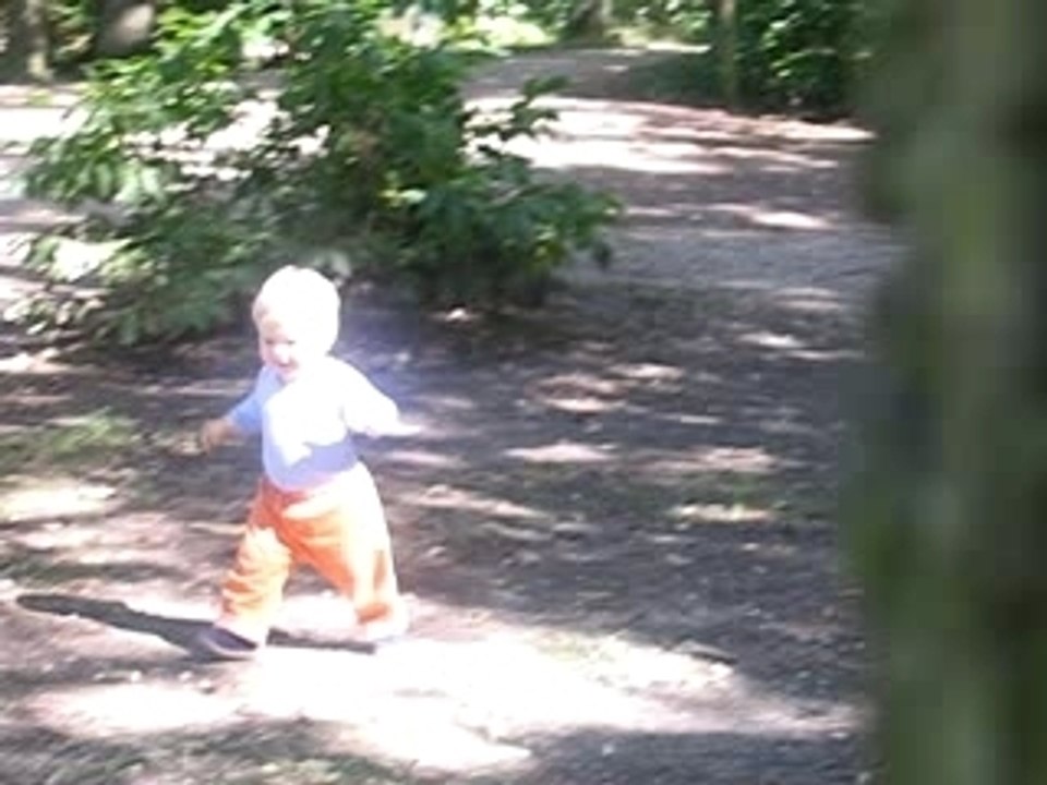 Cache-cache dans les bois