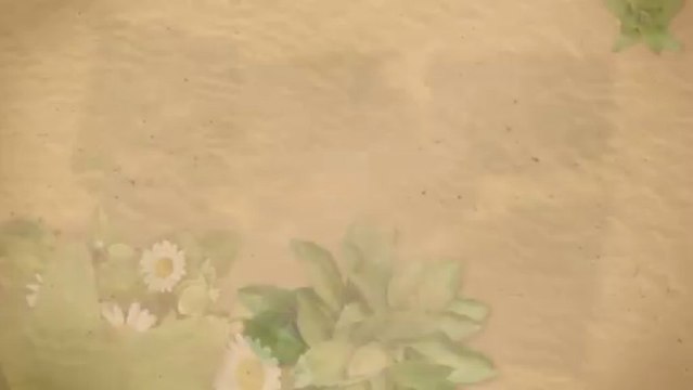 Kia of Fairfield near Vallejo - 2013 Kia Sportage near Vallejo