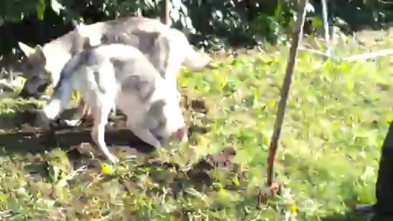 une pataugeoire ? faut aider papa ;)