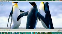 Como transformar PC em Roteador (Debian + VirtualBox)