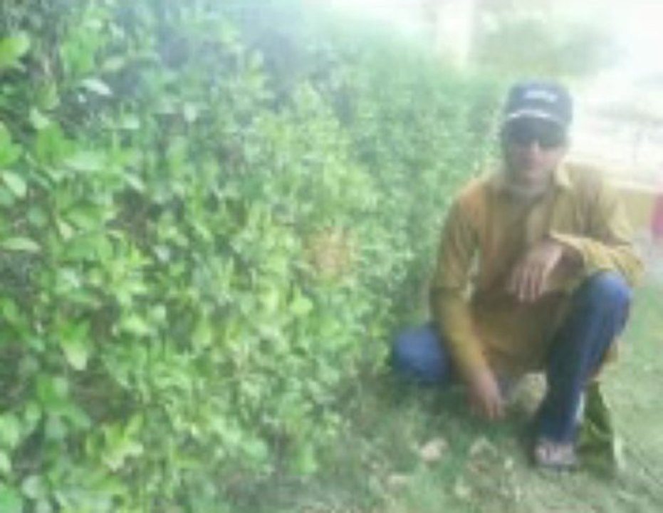fazal king dost