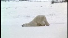 aller au boulot le lundi