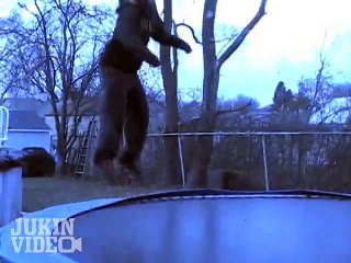 Trampoline Pool Jump 2
