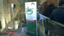 XX edizione Orii del lazio, aumentano i partecipanti al concorso e la qualità dell' olio d'oliva
