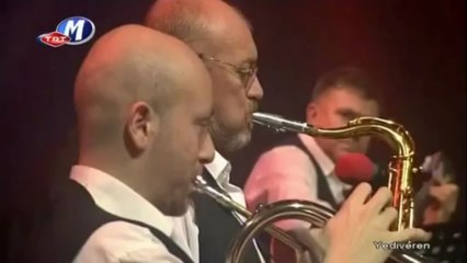 04 musa eroğlu ben bugün yarimden ayrı düşeli - yediveren