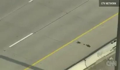 Thank God, they survived on road