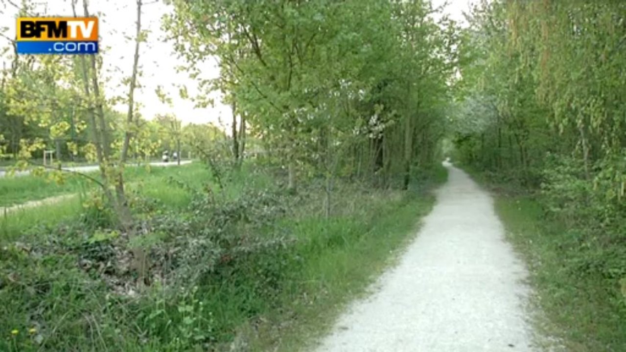 Avec le printemps reviennent les allergies au pollen - 25/04