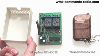 Récepteur pour système de Verrouillage Électrique Télécommande 12V 2 Canaux