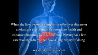 Liver Repair Drug - What Is The Best Drug For Liver Disease?