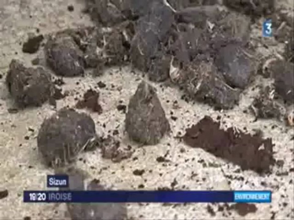 Pelotes de Réjection - France 3 le 22 avril 2013