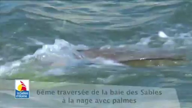 6ème traversée de la baie des Sables à la nage avec palmes