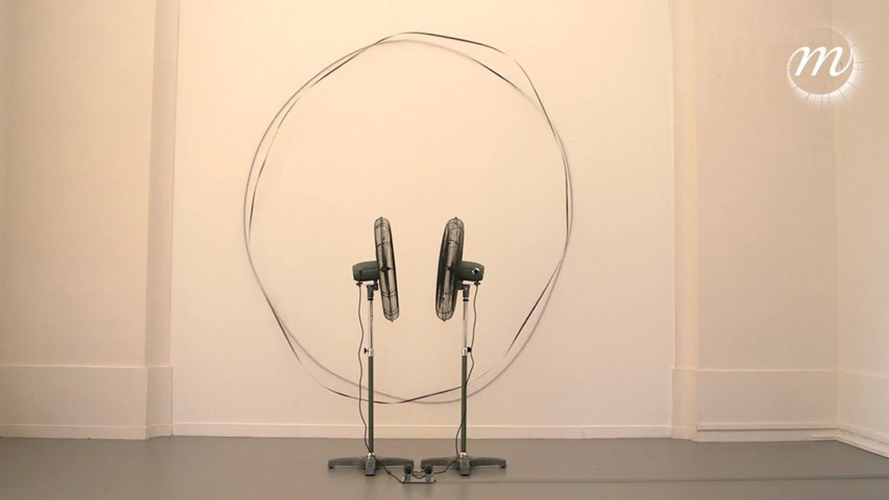 Dans les airs avec Zilvinas Kempinas