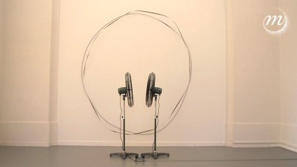 Dans les airs avec Zilvinas Kempinas