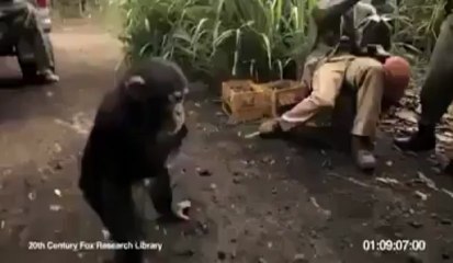 Funny Monkey !! Must Watch !!
