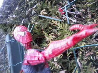 Montage de photos Spider-Man