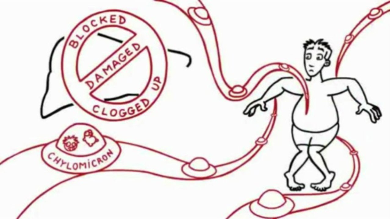 exercise for stomach