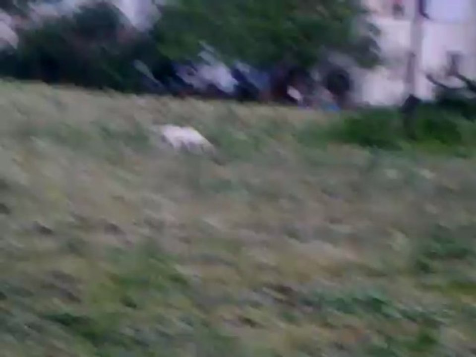 bill video