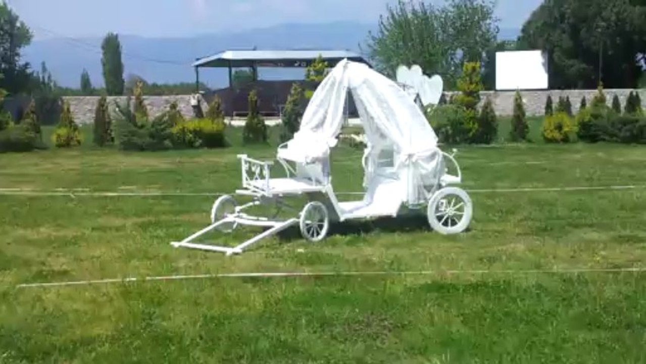 Gelin hanım ile Damat beyi Odasından Piste Götüreceğimiz faytonumuz... Menekşe Kır Bahçesi