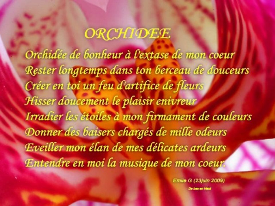 20090623 Poème Orchidée