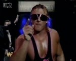 Bret Hart VS Owen Hart - Wrestlemania 10 (German)