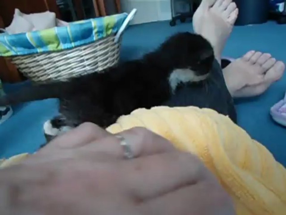 MOV07390