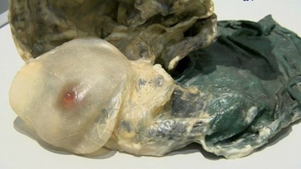 Alina Szapocznikow : Du dessin à la sculpture, du 27 février 2013  au 20 mai 2013