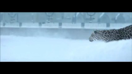 Orjan Nilsen - Le Tour De Trance [ music video ]