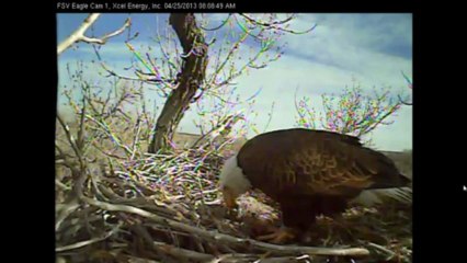 FSV Eagles April 25, Wake Up And Eat