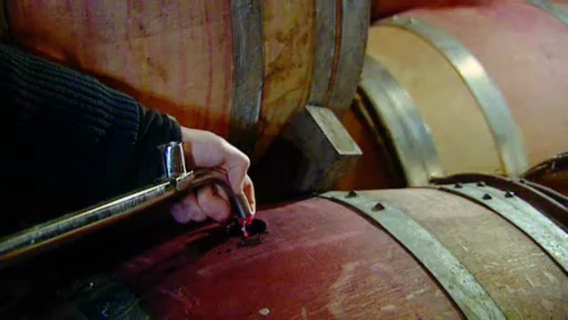 Les Climats de Bourgogne: Paul MEUNIER à PREMEAUX-PRISSEY