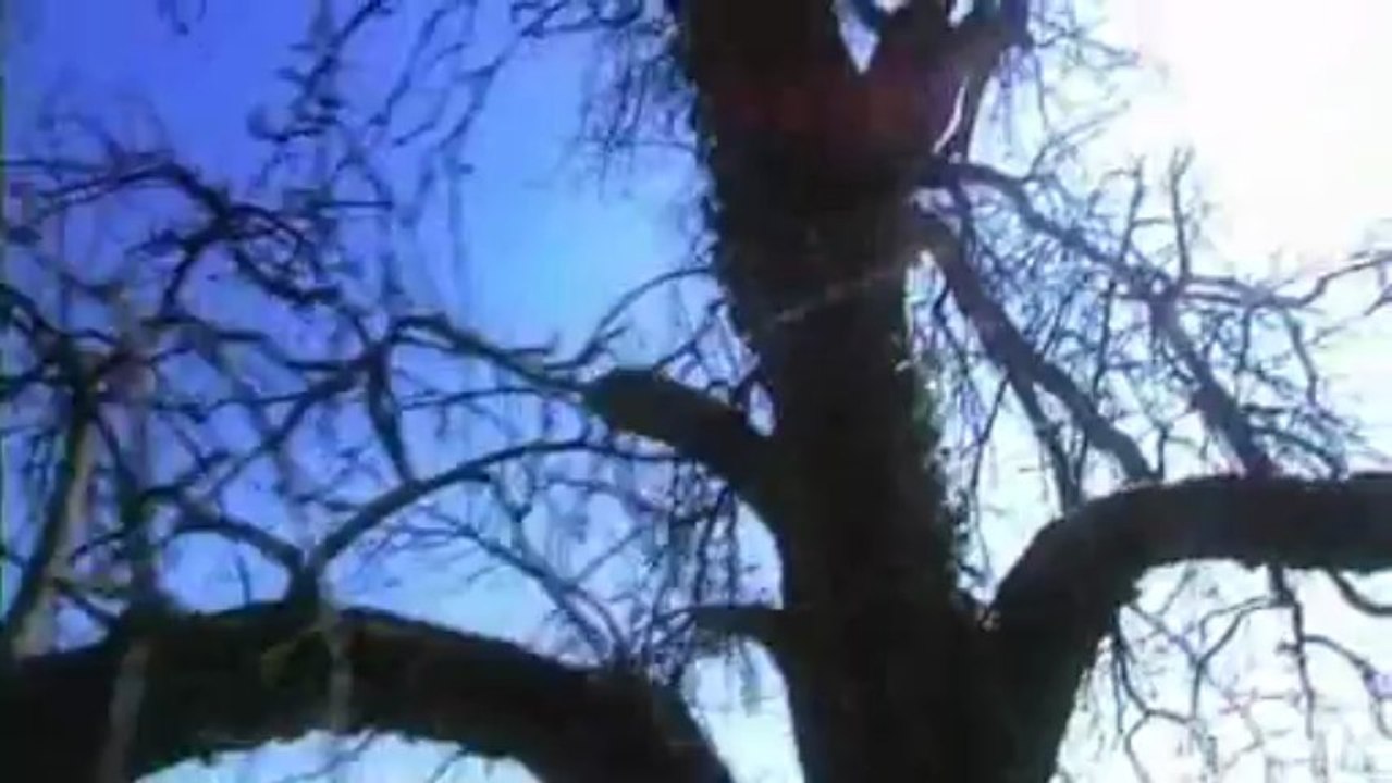 Les Climats de Bourgogne: Bernard ZITO à GEVREY-CHAMBERTIN (21)