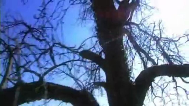 Les Climats de Bourgogne: Bernard ZITO à GEVREY-CHAMBERTIN (21)