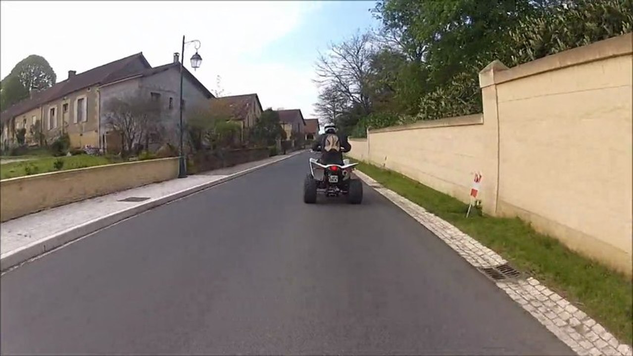 La Fleuracoise 2013 -