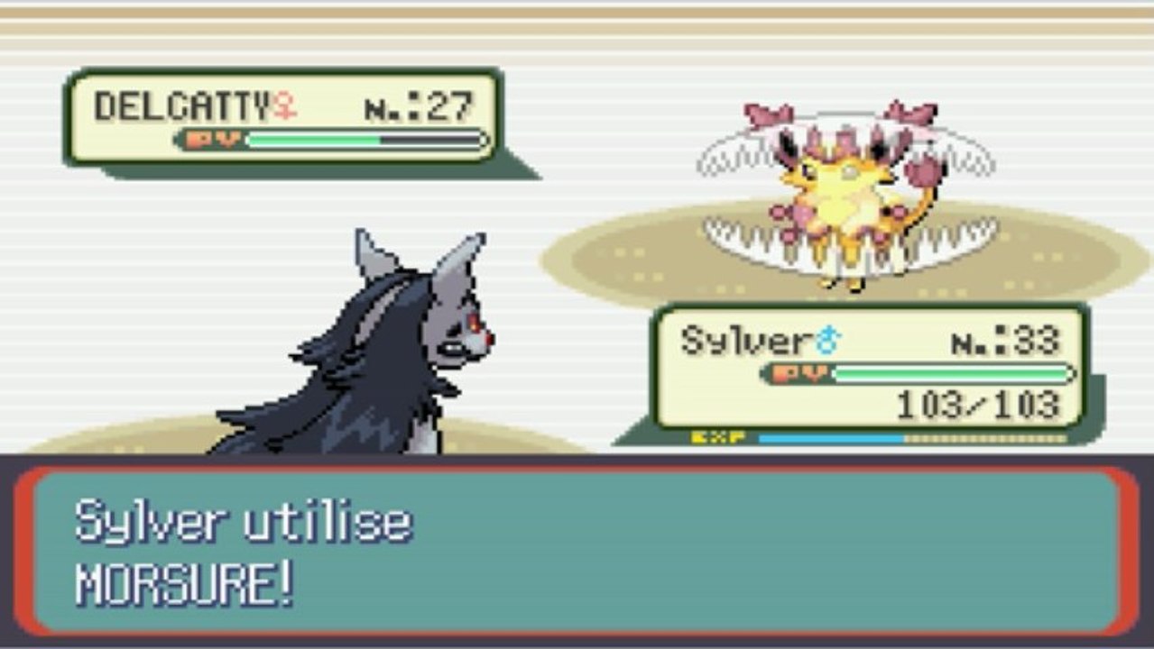 pokémon saphir ep 13 / duel père-fils ! / HD FR