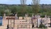 Miniature DailyMotion