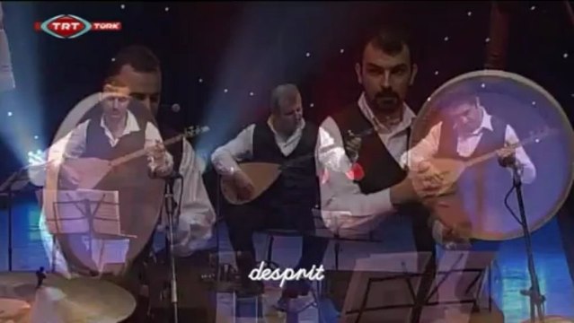 07 muharrem temiz yeşil ördek gibi daldım göllere - yediveren