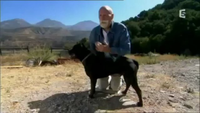 Predateurs de la Prehistoire: Les Dents de La Mort