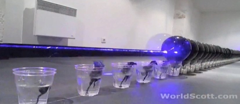 100 ballons noirs contre un laser Blu-ray, qui gagne?