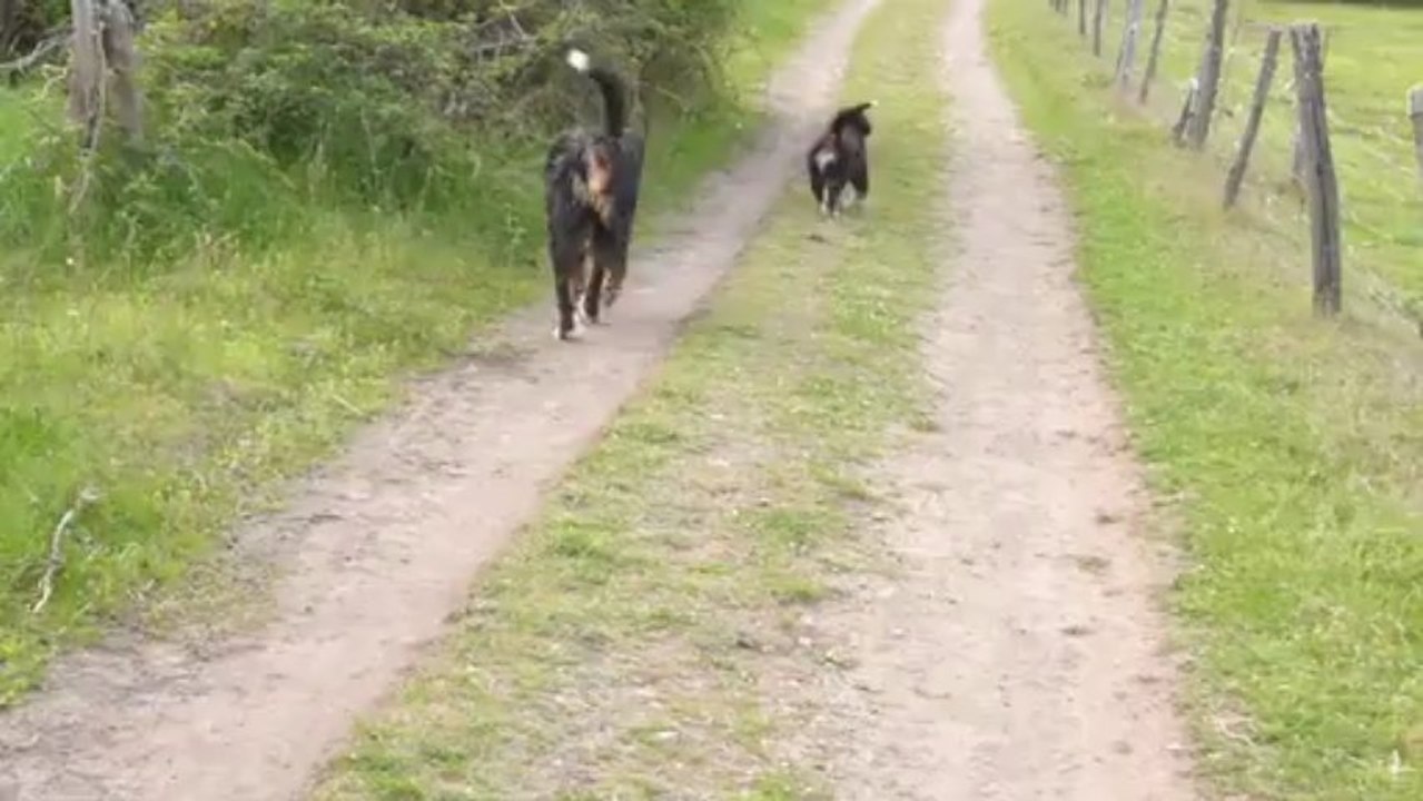 25 avril Iyak et Falbala