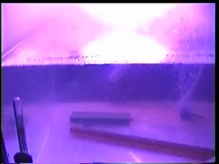 Artemia zenginleştirme çalışmalarım