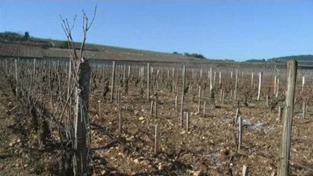 Les Climats de Bourgogne: Grand Cru POMMARD